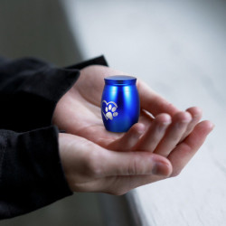 Stainless Steel Cat Urn Pet Bone Ash Container Dog Ashes Storage Casket