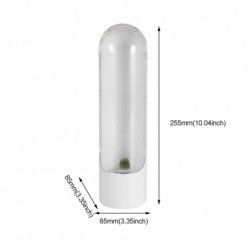 Boîte de rangement multifonctionnelle Asperges Fresh Keeping Cup Home Vanille Vegetable