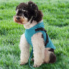 Lightweight And Breathable Dog Raincoat Keeps Pet Dry And Stylish In