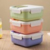 Compartments Portable Food Container Plastic Locking