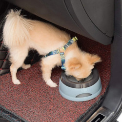 Water Bowl For Dogs On The Go, Leakproof Splash Feeding Bowlblue1pcs