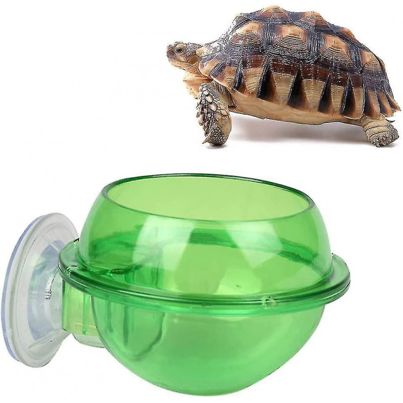Ventouse Reptile Feeder Anti-escape Reptile Food Bowl Pour Tortue Gecko Serpentsvert, 2pcs)