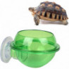 Ventouse Reptile Feeder Anti-escape Reptile Food Bowl Pour Tortue Gecko Serpentsvert, 2pcs)