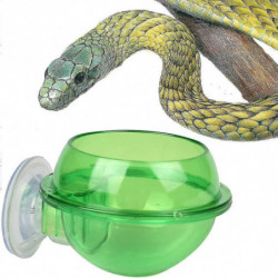 Ventouse Reptile Feeder Anti-escape Reptile Food Bowl Pour Tortue Gecko Serpentsvert, 2pcs)