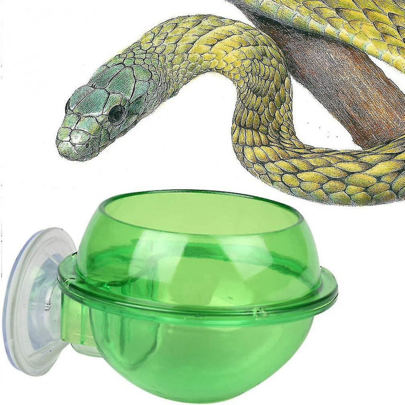 Ventouse Reptile Feeder Anti-escape Reptile Food Bowl Pour Tortue Gecko Serpentsvert, 2pcs)