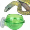 Ventouse Reptile Feeder Anti-escape Reptile Food Bowl Pour Tortue Gecko Serpentsvert, 2pcs)