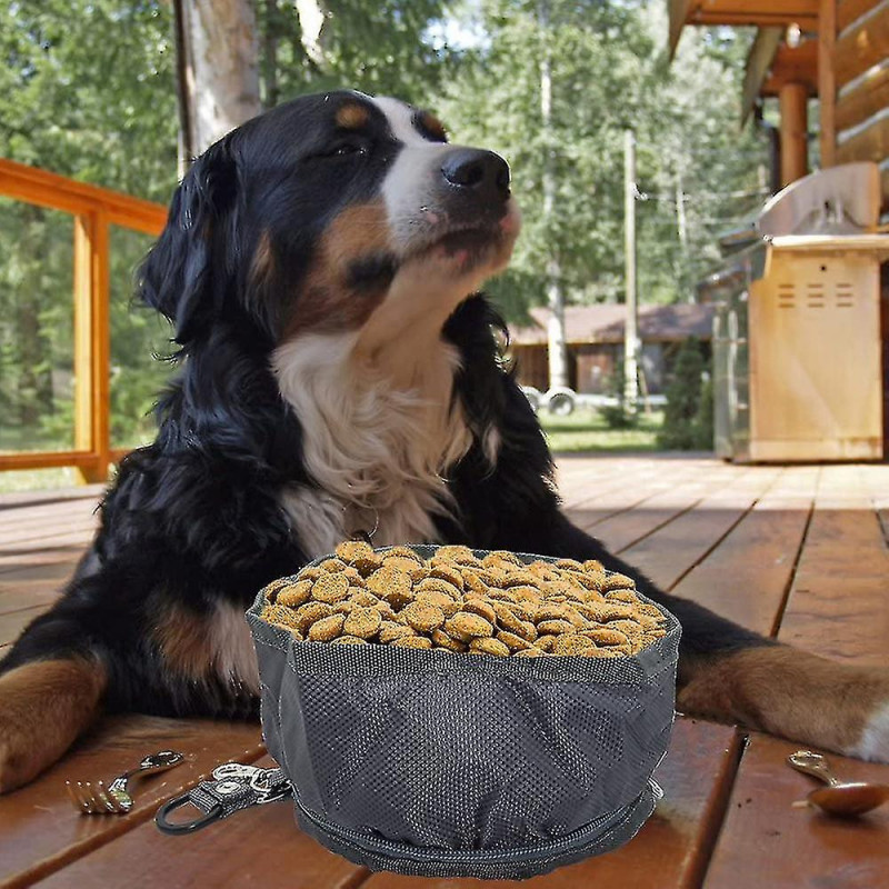 Dog Bowl Travel Bowls Pliable Compatible avec Dog Pet, étanche Portable