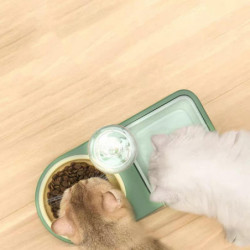 Automatic Pet Feeder With Water Dispenser, Durable Food Bowl For Cats And Dogs