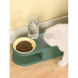 Automatic Pet Feeder With Water Dispenser, Durable Food Bowl For Cats And Dogs