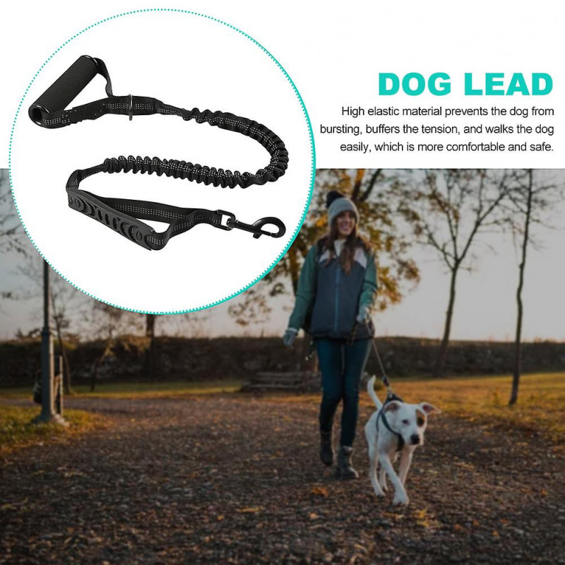 Fournitures pour animaux de compagnie avec amortisseur Chien Plomb Protection Deux poignées Laisse de sécurité de [...]