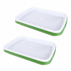 Seed Sprouter with Transparent Lid and Small Holes for Fine Workmanship Plastic Material