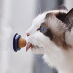 Chats Friandises Sucette Chats De Compagnie Snack Nutrition Crème Menthe Boule Bonbons Jouets Pour Animaux De [...]