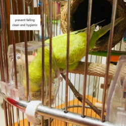 Mangeoire à oiseaux en plastique No Mess Food Container Distributeur automatique pour cockatiels Mangeoire à oiseaux en plastique No Mess Food Container Distributeur automatique pour cockatiels