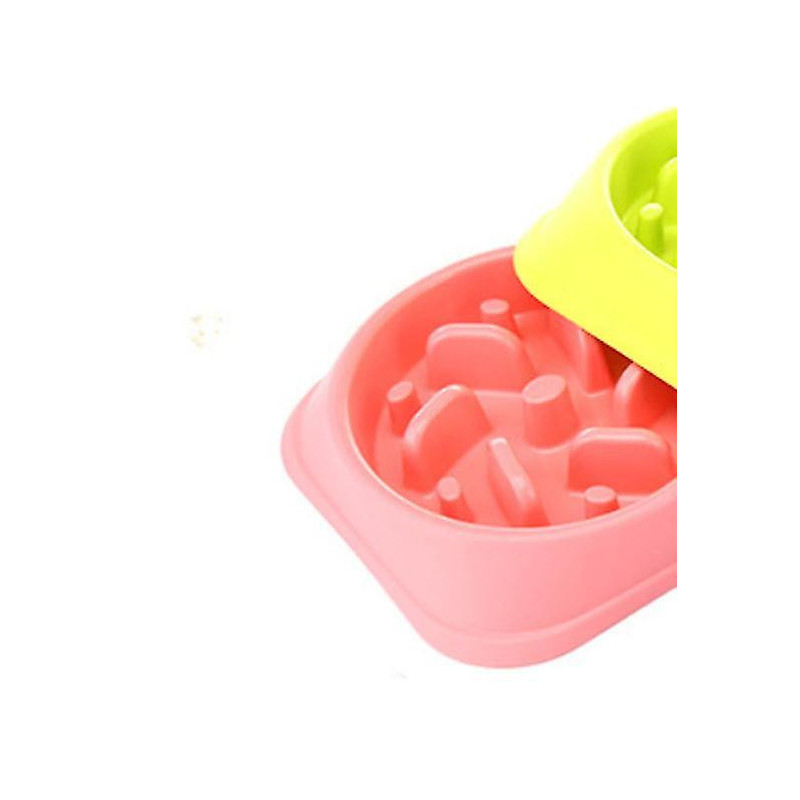 Le bol antidérapant Maze Pet Food favorise une alimentation saine et une digestion rose lente