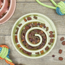 Interactive Dog Bowl, Spiral Slow Feeder Pet Dish (pink And Green)