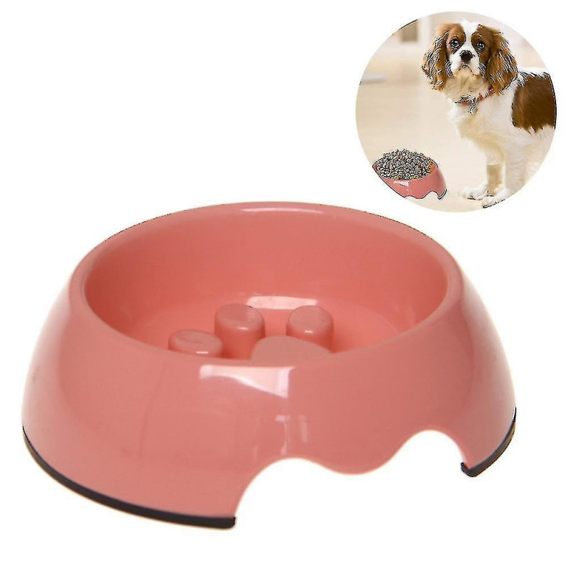 Slow Feeder Dog Bowl, Anti-gulping Slow Eating Bowl, Stop Bloat