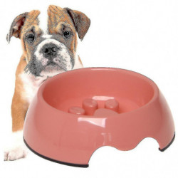 Slow Feeder Dog Bowl, Anti-gulping Slow Eating Bowl, Stop Bloat