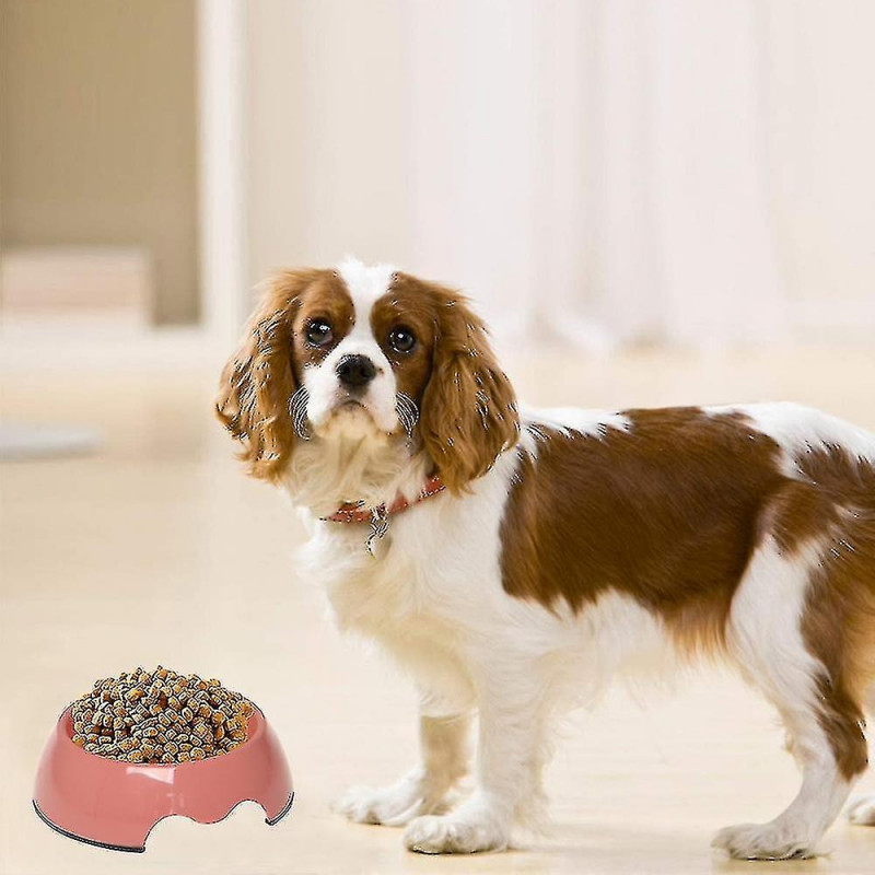 Slow Feeder Dog Bowl, Anti-gulping Slow Eating Bowl, Stop Bloat