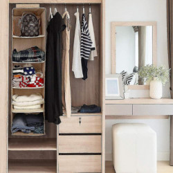 3 Shelves Hanging Closet Organizer With 1 Underwear/socks Drawer Divider Space Saver Foldable Cloth Storage Hanging Bag