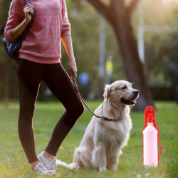 Distributeur portable Voyage bouteille d’eau Bol pour chien chat petits animaux