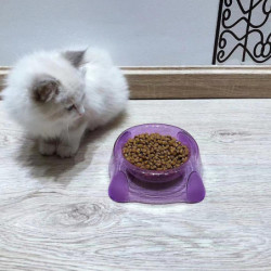 Candy Color Transparent Crystal Single Bowl Dog Food Bowl Cat And Dog Bowl