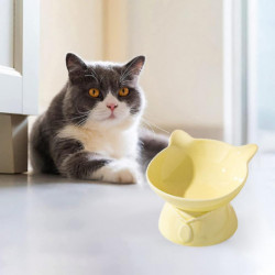Pet Dog Bowl Cat Food Oblique Mouth Bowl Ceramic High Foot Protection Cervical Vertebra