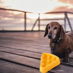 Pet Bowl Plastic Cartoon Pizza Type Slow Food Bowl