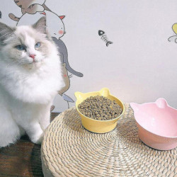 Tall Cat Bowl, Oblique Mouth Cat Head Bowl, Dog Food Bowl, Cat And Dog Universal Tall Cat Bowl, Oblique Mouth Cat Head Bowl, Dog Food Bowl, Cat And Dog Universal