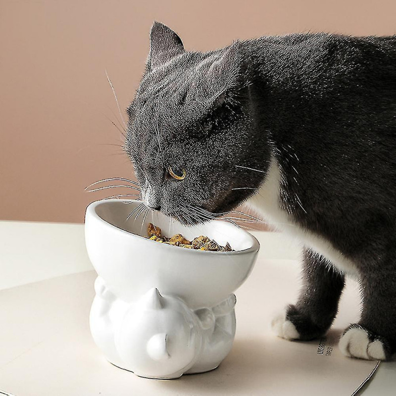 Pet Bowl Dog Bowl High Foot Oblique Mouth Protection Spine Creative Cartoon Haute Qualité