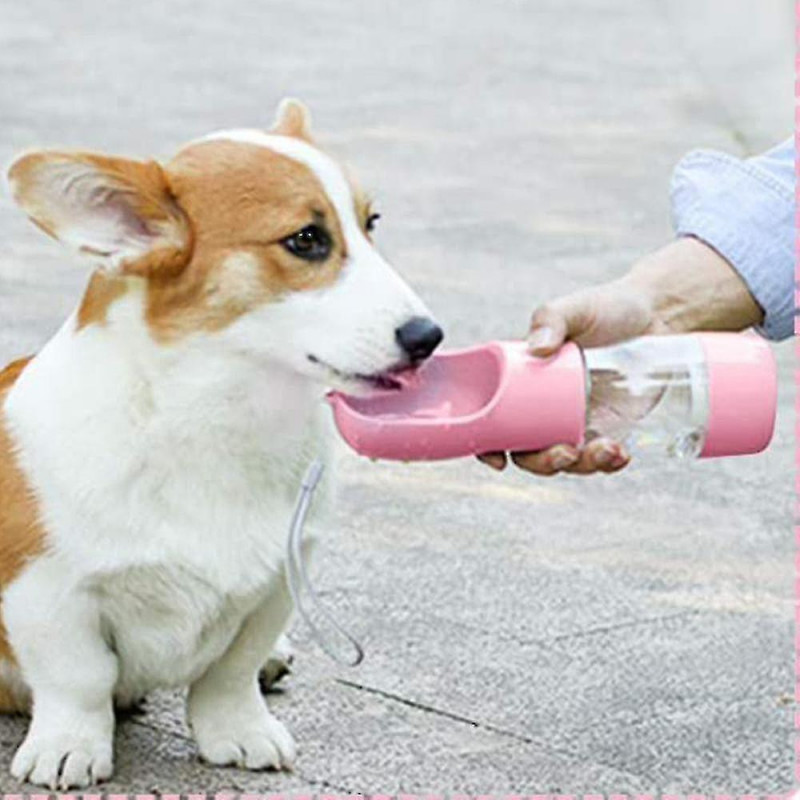 Bouteille d’eau pour chien, distributeur d’eau pour chien multifonctionnel et portable