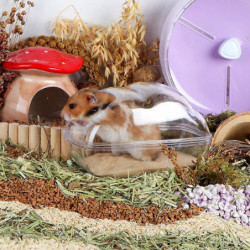 Ubiuo Hamster Sand Bath Container Large Transparent Plastic Toilet With Scoop Set For Small Pet Animals Cage Accessories Ubiuo Hamster Sand Bath Container Large Transparent Plastic Toilet With Scoop Set For Small Pet Animals Cage Accessories