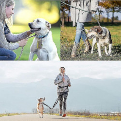 Pet Trash Bag, Dog Trash Bag Storage Bag (purple Double Zipper)