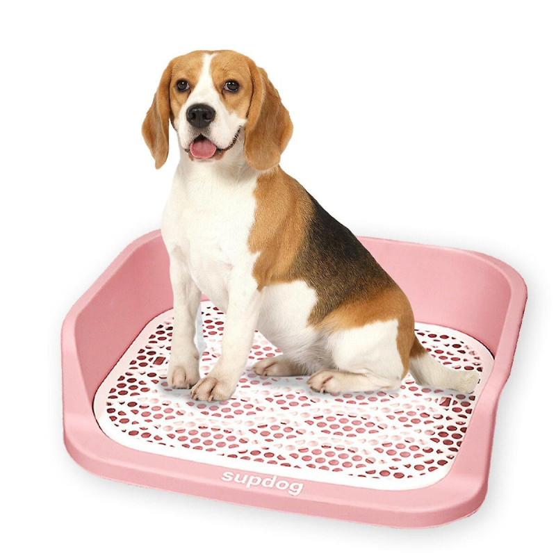 Pet loo portable outdoor or indoor dog toliet alternative to puppy pads for small, medium, large dogs