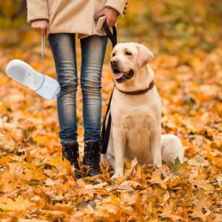 Dog Water Bottle 350ml, Pet Travel Water Dispenser Antibacterial Food Grade Leak Proof Dog Cat Drink Bowl, [...]