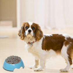 Slow Feeder Dog Bowl, Anti-gulping Slow Eating Bowl, Stop Bloat