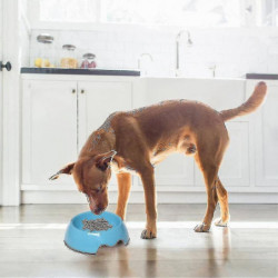 Slow Feeder Dog Bowl, Anti-gulping Slow Eating Bowl, Stop Bloat