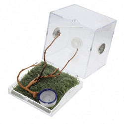 1 Set of Spider Habitat Box Small Pet Insect Breeding Box Jumping Spider Micro Box