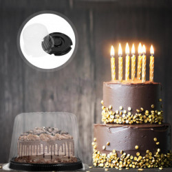 10Pcs Clear Plastic Food Container Cake Containers Carriers Packaging Box with Lids 4inch