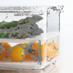 Fruit And Vegetable Fresh-keeping Box Fresh-keeping Box With Lid,a