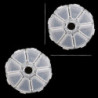 8 fentes x 2 pièces Bijoux réglables Boucle d’oreille Boîte de rangement 8 fentes x 2 pièces Bijoux réglables Boucle d’oreille Boîte de rangement
