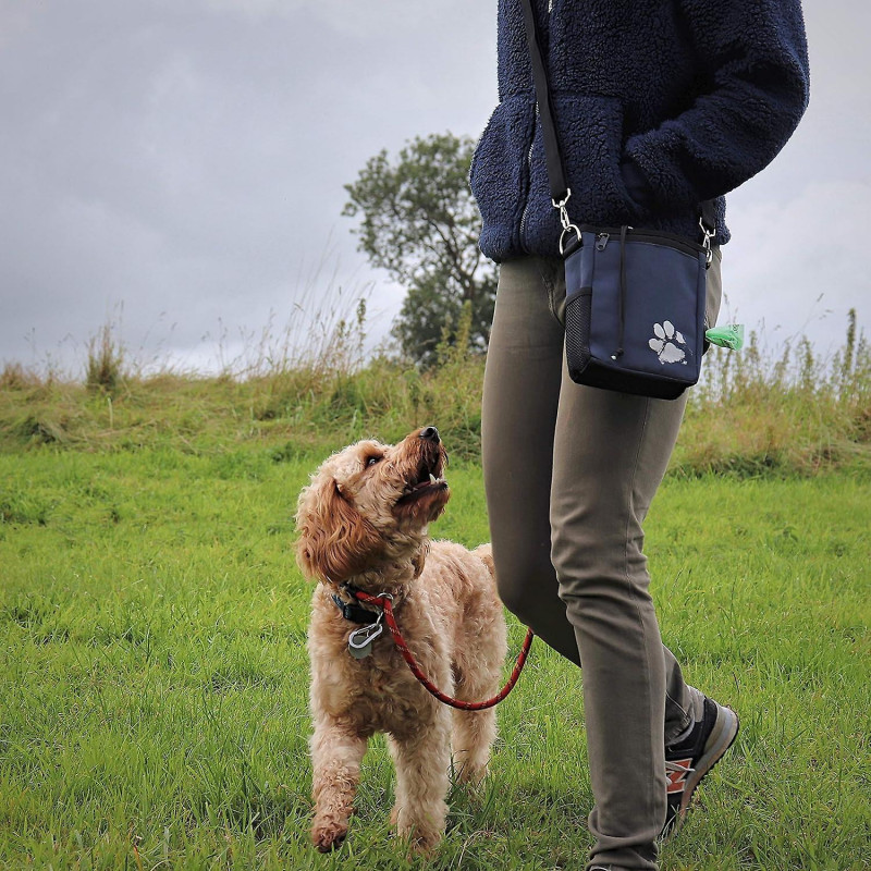 Pet Impact Dog Treat Pouch, Dog Walking Bag for All Your Essential Items, One of a Kind Eco-Friendly Treat Bag - [...]