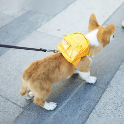 ZHOUBA Dog Waterproof Large Capacity Backpack Cartoon Travel Carrier Bag Pet Supplies