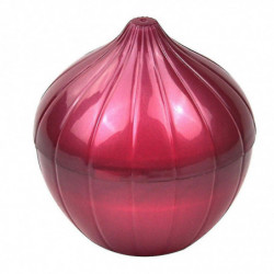 2x Boîte de stockage de nourriture en forme de légume Récipient de fruits frais réutilisable en plastique