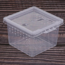 40pcs Clear Plastic Insect Spider Breeding Empty Feeding Box Container