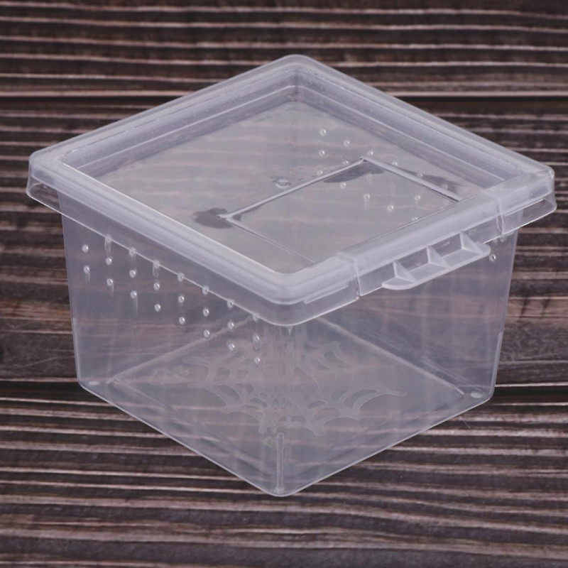 40pcs Clear Plastic Insect Spider Breeding Empty Feeding Box Container