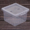 40pcs Clear Plastic Insect Spider Breeding Empty Feeding Box Container