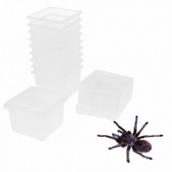 40pcs Clear Plastic Insect Spider Breeding Empty Feeding Box Container 40pcs Clear Plastic Insect Spider Breeding Empty Feeding Box Container
