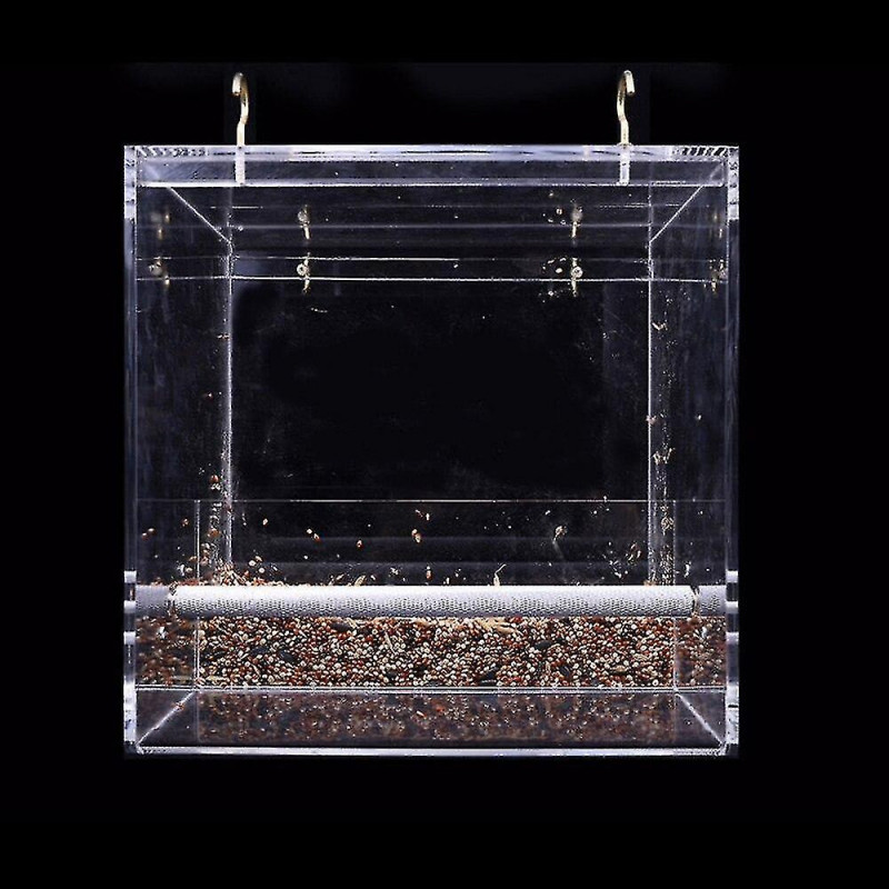 Parrot Spill Proof Feed Box Plastic Pet Resistant Suitable For Small B