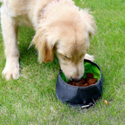 Dog Bowl Travel Bowls Foldable Compatible With Dog Pet, Leak-proof Portable Dog Bowl Travel Bowls Foldable Compatible With Dog Pet, Leak-proof Portable