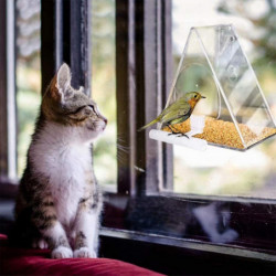 Decorative Bird Feeder Odor-free Easy To Install Acrylic Bird Food Container Garden Supplies Decorative Bird Feeder Odor-free Easy To Install Acrylic Bird Food Container Garden Supplies